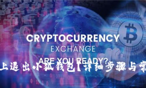如何在电脑上退出小狐钱包？详细步骤与常见问题解答