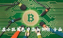 如何在小狐钱包中添加侧链：全面指南