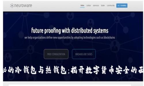神秘的冷钱包与热钱包：揭开数字货币安全的面纱