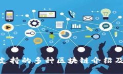 MetaMask支持的多种区块链介