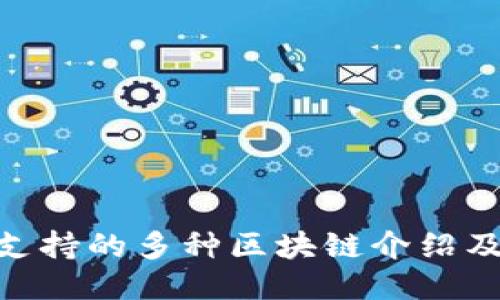 MetaMask支持的多种区块链介绍及其使用指南