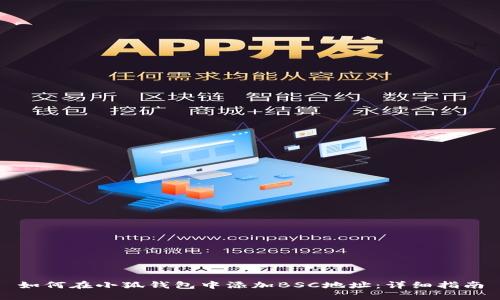 如何在小狐钱包中添加BSC地址：详细指南