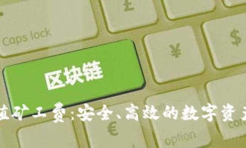 冷钱包充值矿工费：安全、高效的数字资产管理方案