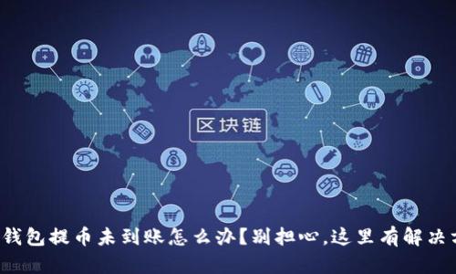 小狐钱包提币未到账怎么办？别担心，这里有解决方法！