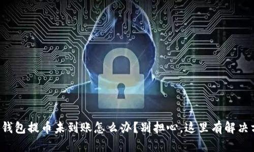 小狐钱包提币未到账怎么办？别担心，这里有解决方法！