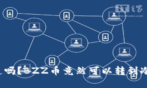 你知道吗？BZZ币竟然可以转到冷钱包！