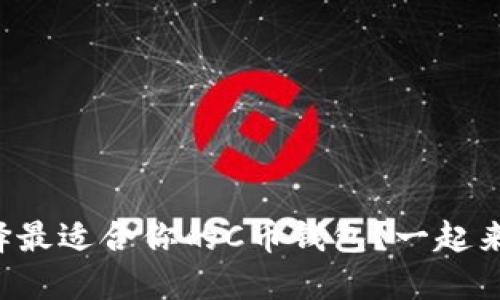 如何选择最适合你的C币钱包？一起来聊聊吧！