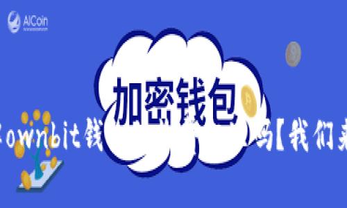 你了解ownbit钱包的收费标准吗？我们来聊聊！