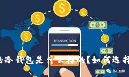 新加坡制造的冷钱包是什么样的？如何选择最适合你的？