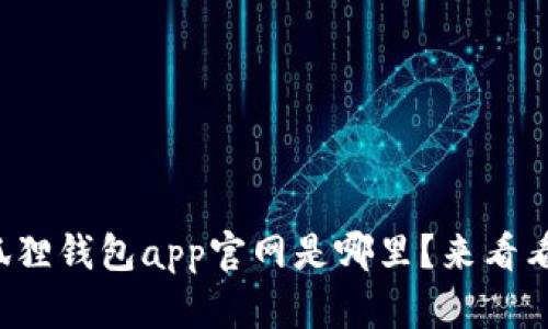 小狐狸钱包app官网是哪里？来看看吧！