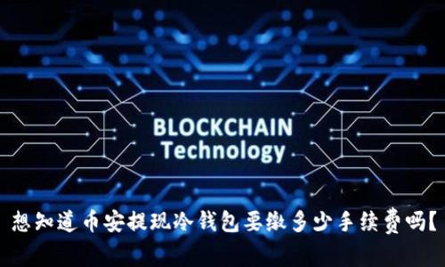 想知道币安提现冷钱包要缴多少手续费吗？