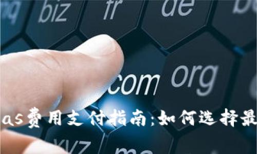 小狐钱包gas费用支付指南：如何选择最优支付方式