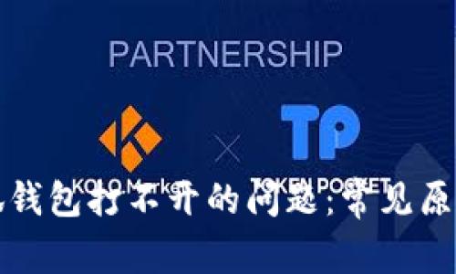 如何解决小狐钱包打不开的问题：常见原因与解决方法