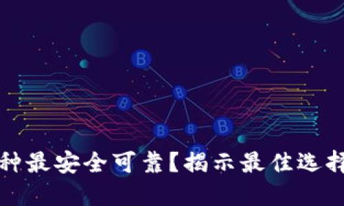 小狐钱包哪种最安全可靠？揭示最佳选择与使用技巧