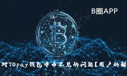 如何应对TOpay钱包中币不见的问题？用户的解决指南